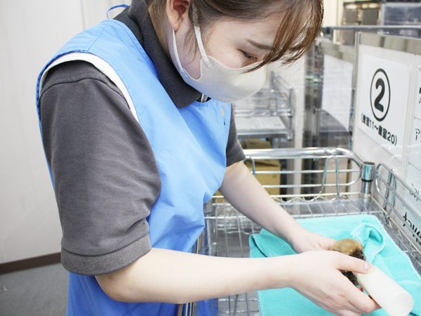 夜間部2年生、子犬のお世話♪